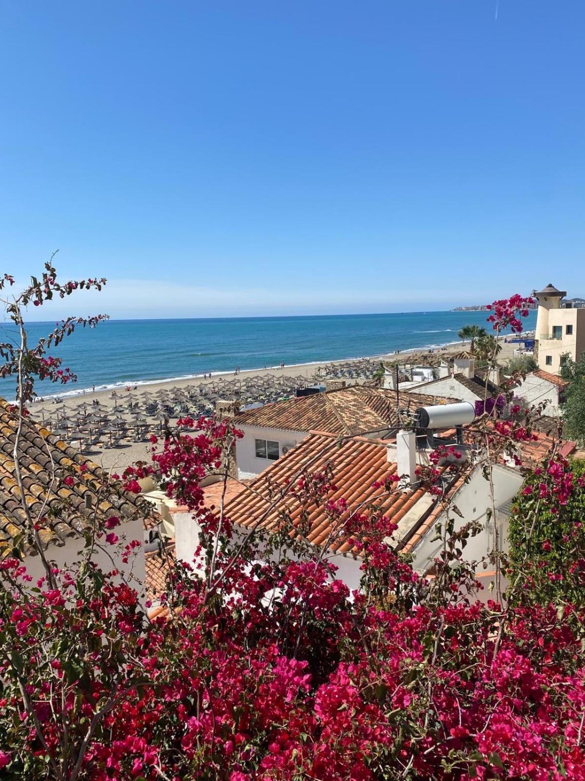 Apartament Carvajal