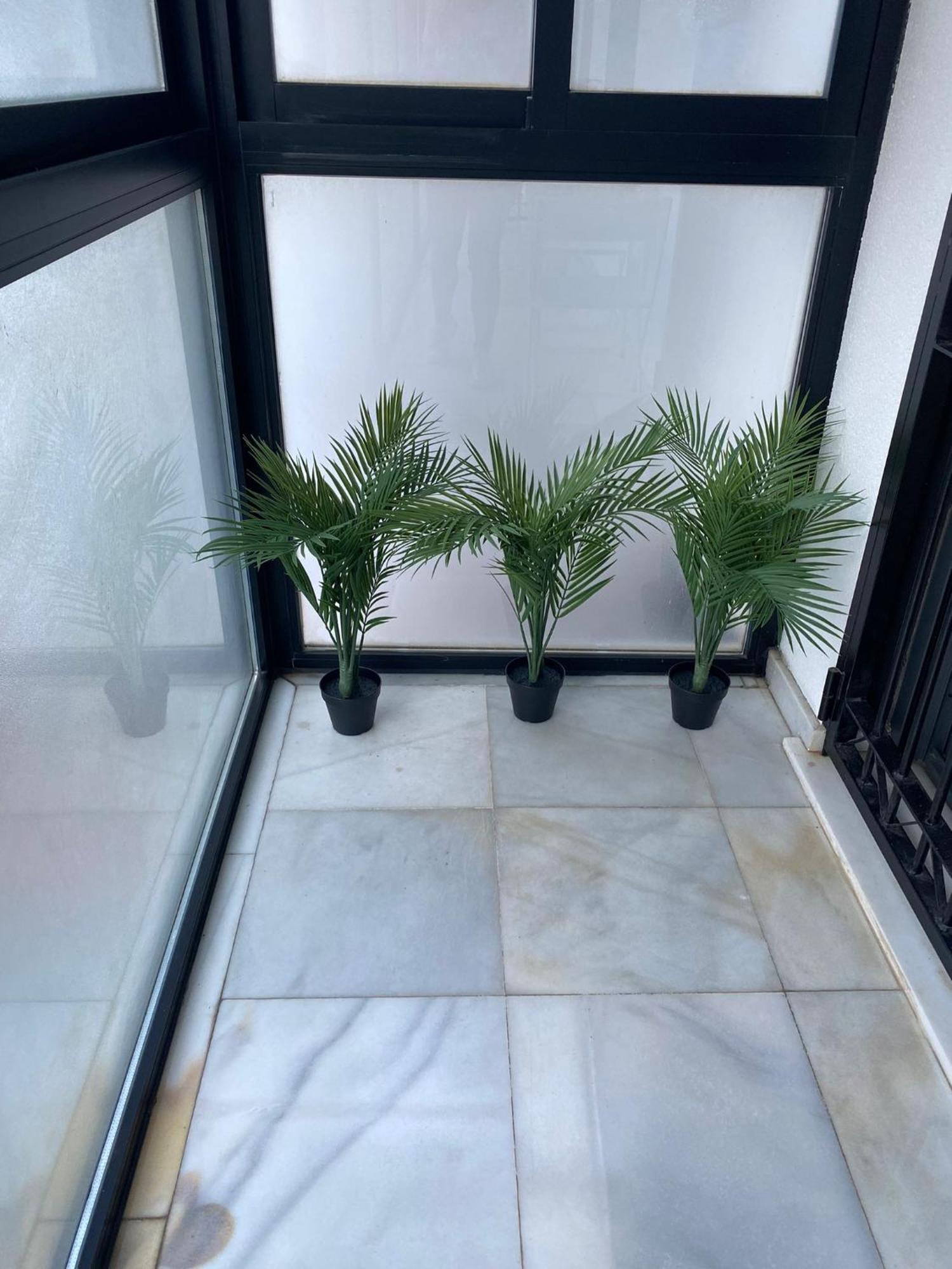 Carvajal Appartement *